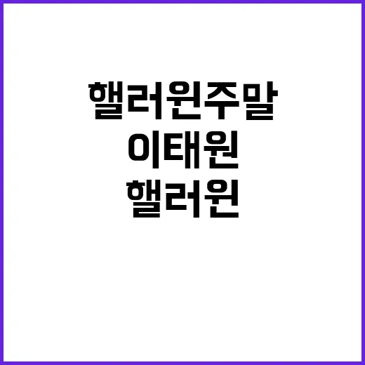 이태원 안전관리 핼…