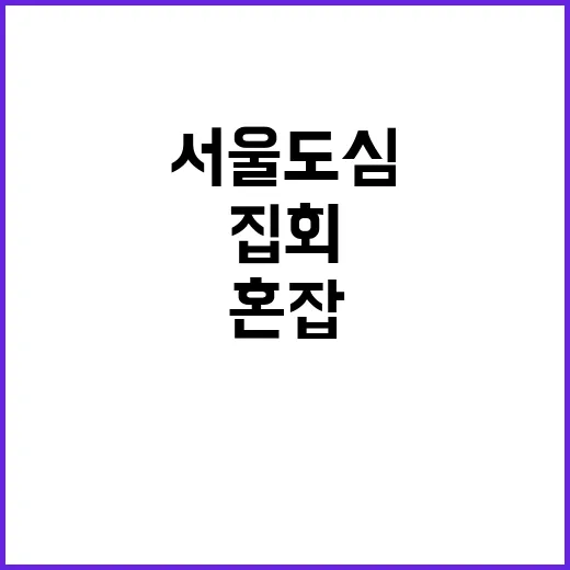 집회 서울 도심서 …