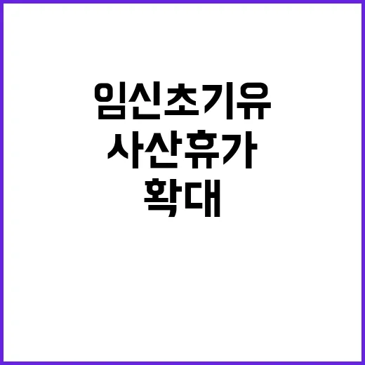 임신 초기 유·사산…