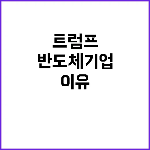 트럼프의 반도체 기…