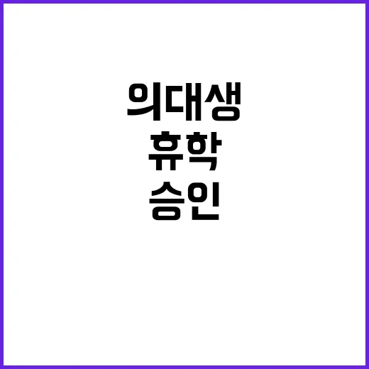 의대생 휴학 자율적…