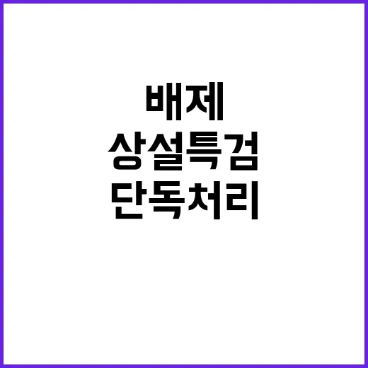 상설특검 민주당 단…