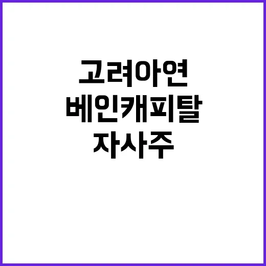 고려아연 자사주 확보 베인캐피탈 놀라운 변화!