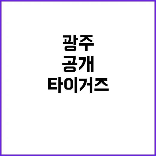 타이거즈 광주 시민들의 행복한 순간 공개!