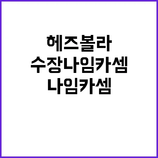 헤즈볼라 새로운 수…