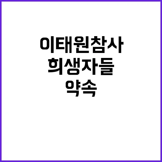 이태원 참사 희생자…