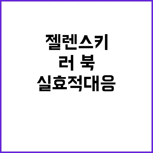 젤렌스키 러·북 협…