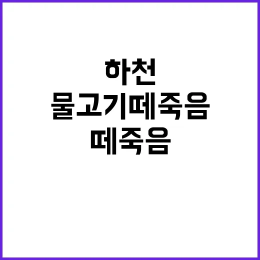 물고기 떼죽음 하천 오염의 충격적인 진실!