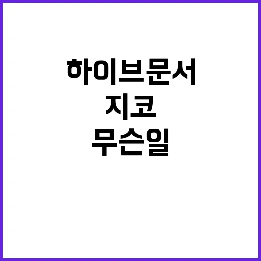 하이브 문서 지코 …