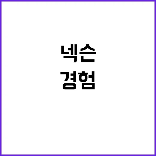 넥슨 서른 살의 유…