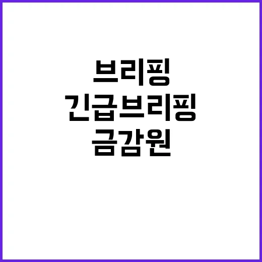 금감원 긴급 브리핑 예정…결과는 무엇?