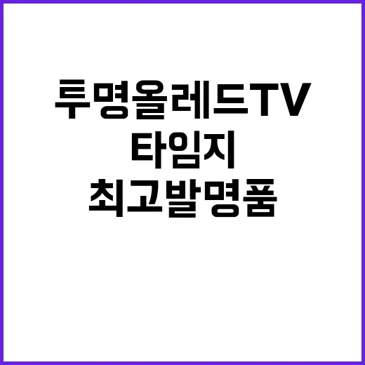 투명 올레드 TV …