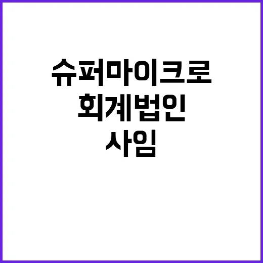 분식회계 심각성 슈…