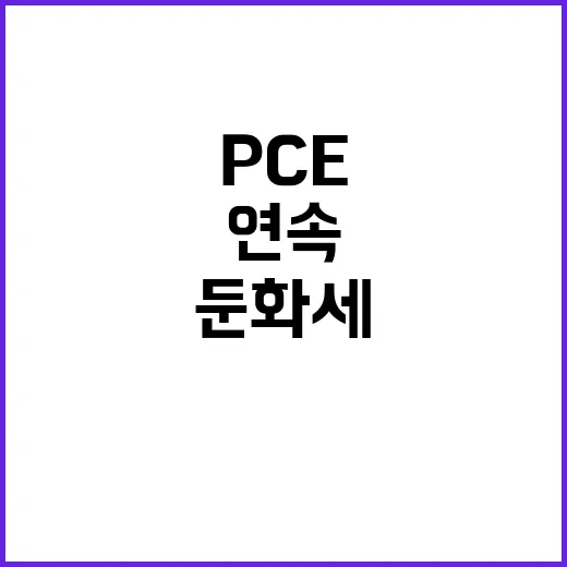 PCE 둔화세 5개…