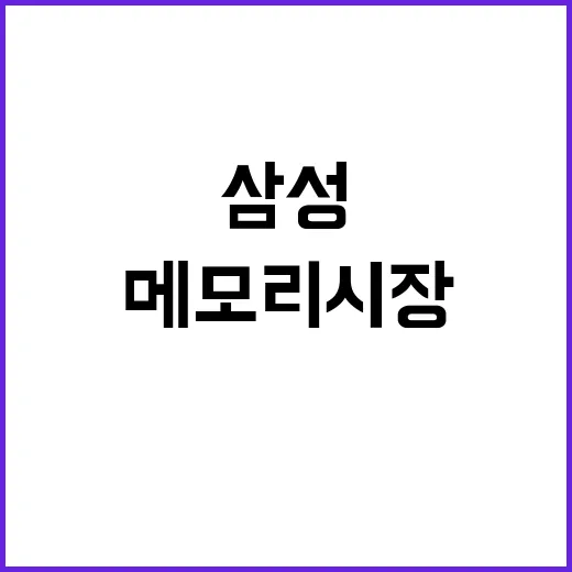 삼성 메모리 시장 …