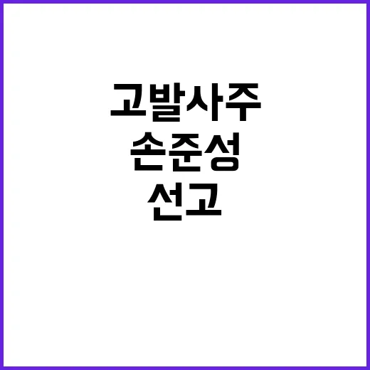 ‘고발사주’ 손준성…