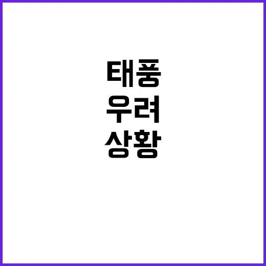 태풍 처음 보는 상…