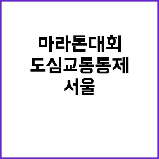 서울마라톤대회 도심 교통통제 계획 발표! 확인하세요!