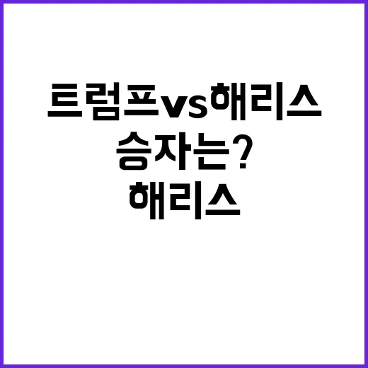 트럼프 vs 해리스 주식 시장의 승자는?