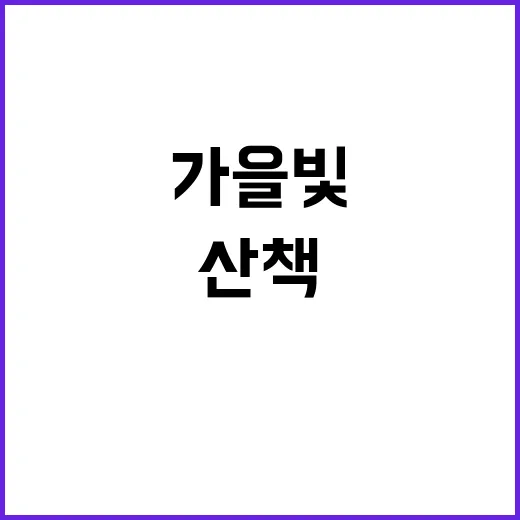 경복궁 가을빛 속 시민과 관광객의 행복한 산책