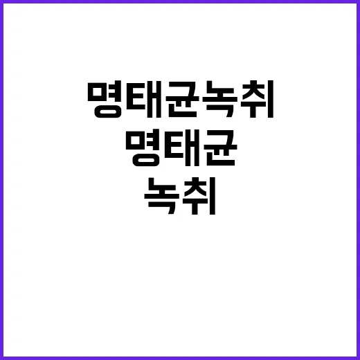 국힘 명태균 녹취 …