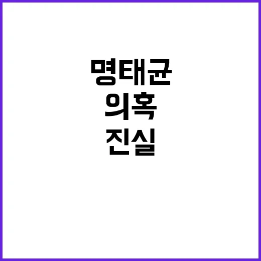 명태균 여론조사 의…