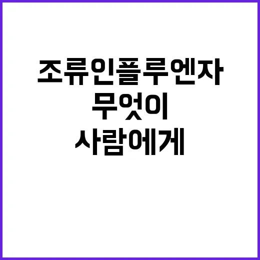 조류인플루엔자 사람에게 무엇이 위험한가?