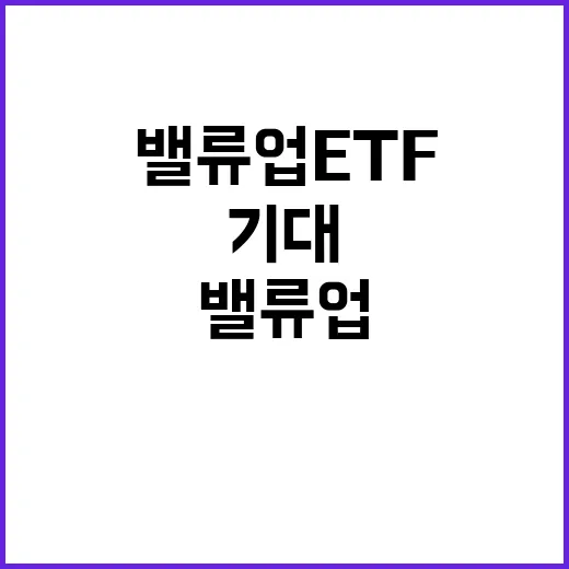 밸류업 ETF 투자자들 기대에 화답하는 날!