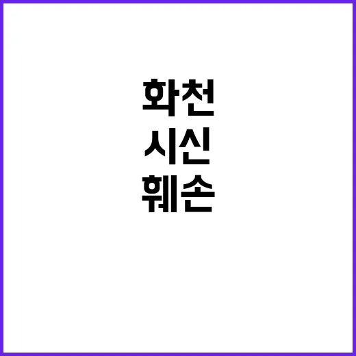 ‘화천 훼손 시신’…