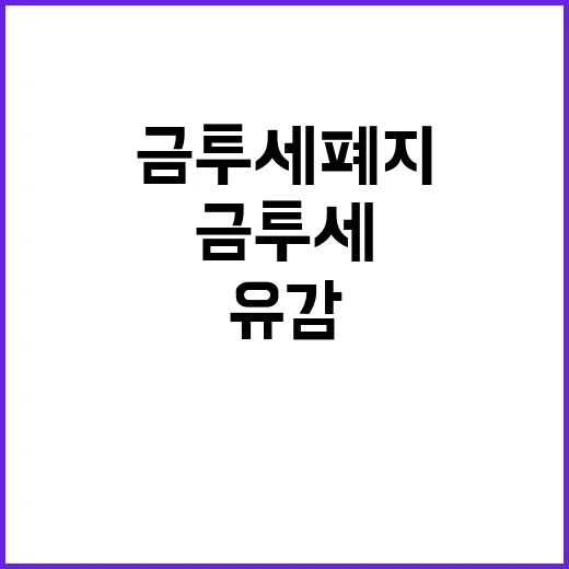 금투세 폐지 믿음 …