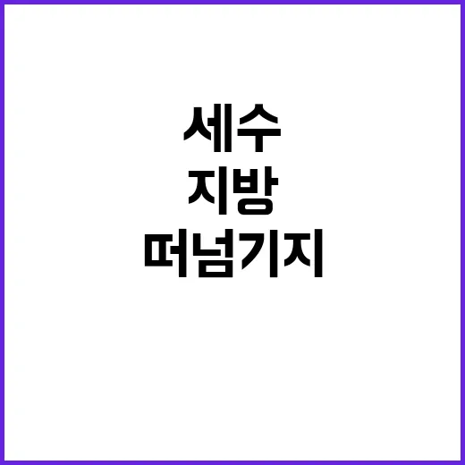 세수부족 부담? 지…