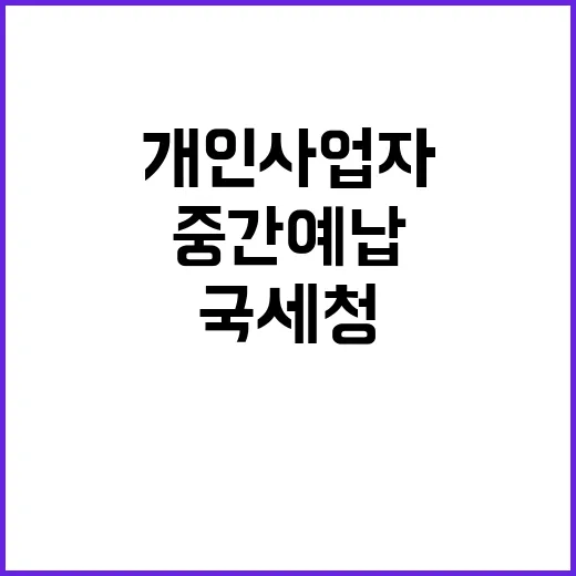 국세청 개인사업자 중간예납 기한 연장 소식!