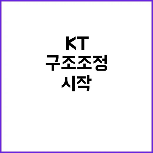 KT 체질 개선 본…