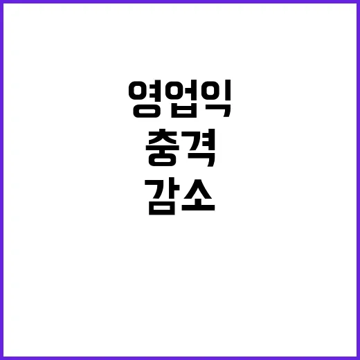 제주항공 영업익 감…