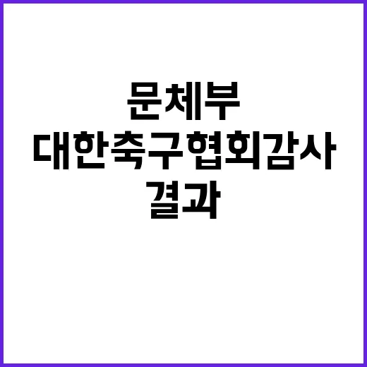 최종 결과 문체부와 대한축구협회 감사 대폭로!