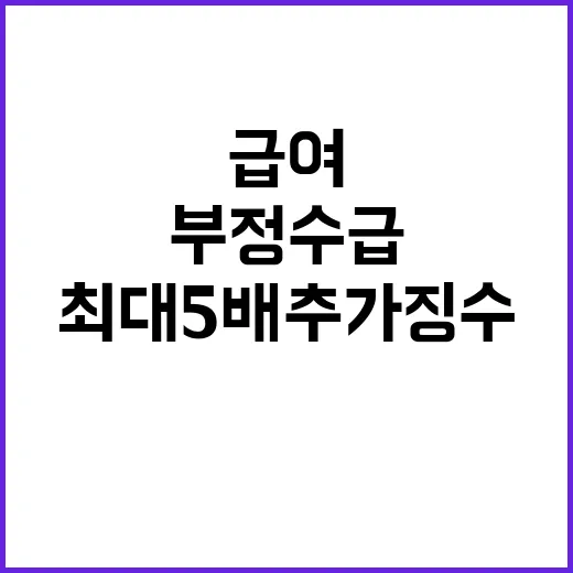 부정수급 급여 최대…