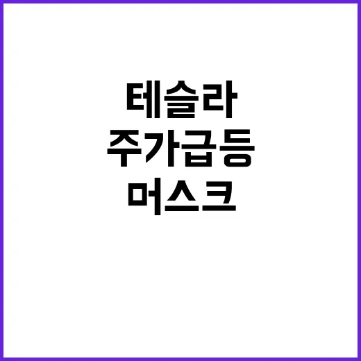 테슬라 주가 급등 머스크의 비밀 전략 공개!