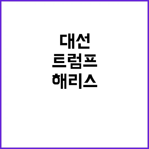 해리스 대선 패배 트럼프 축하전화의 진실은?