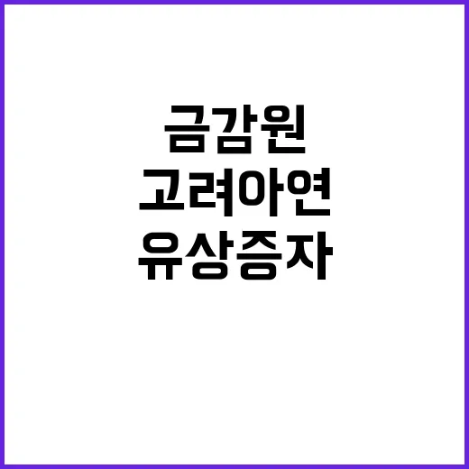 고려아연 유상증자 금감원 정정신고서 제출 요구!