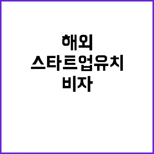 특별비자 스타트업 유치…해외 기업의 새로운 기회!