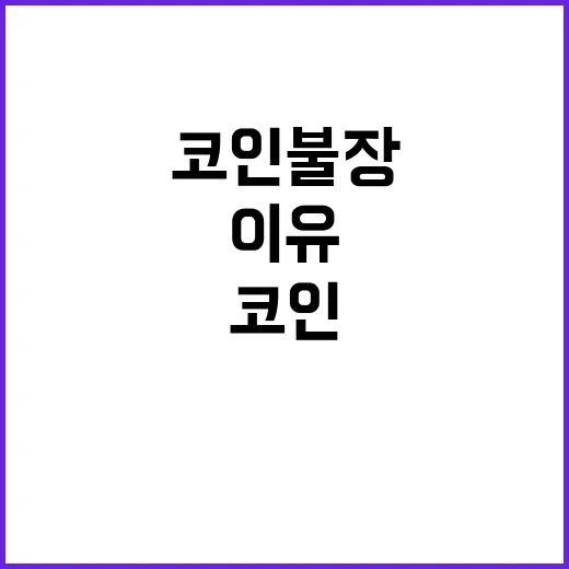 코인 불장 업비트 …