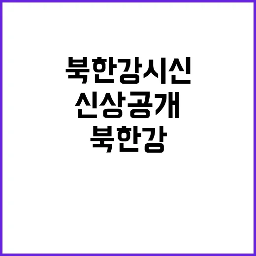 북한강 시신 신상 …