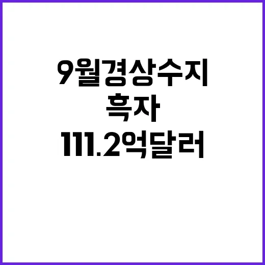 반도체 수출 9월 경상수지 111.2억 달러 흑자!