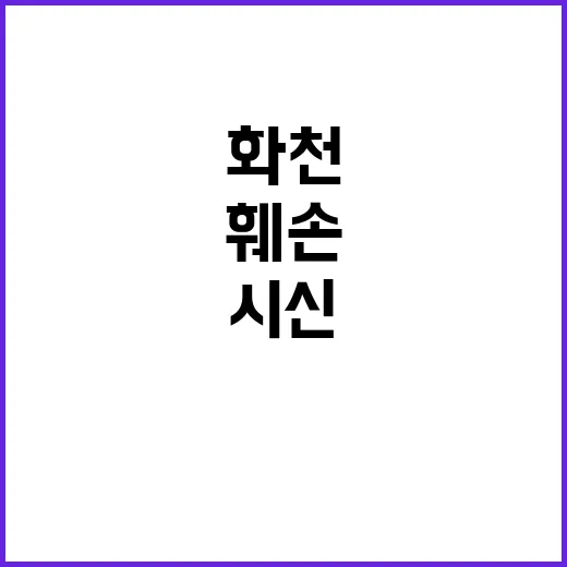 화천 시신 훼손 신…