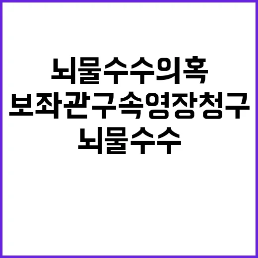 뇌물수수 의혹 보좌…