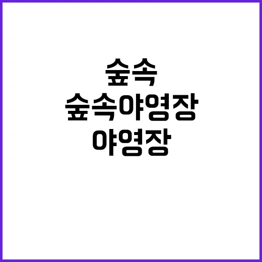 숲속 야영장 결정된…