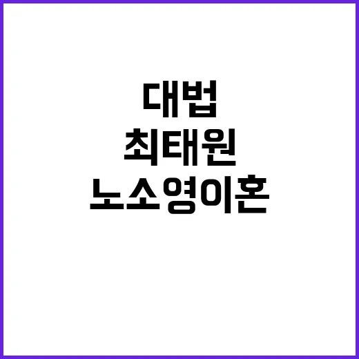 대법 최태원노소영 이혼 심리 결과 공개!