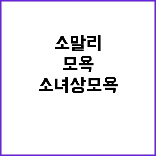 소녀상 모욕 소말리 사과 이유 밝혀졌다!