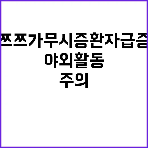 쯔쯔가무시증 환자 급증…야외활동 주의 필수!