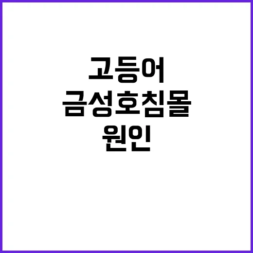 금성호 침몰 고등어…